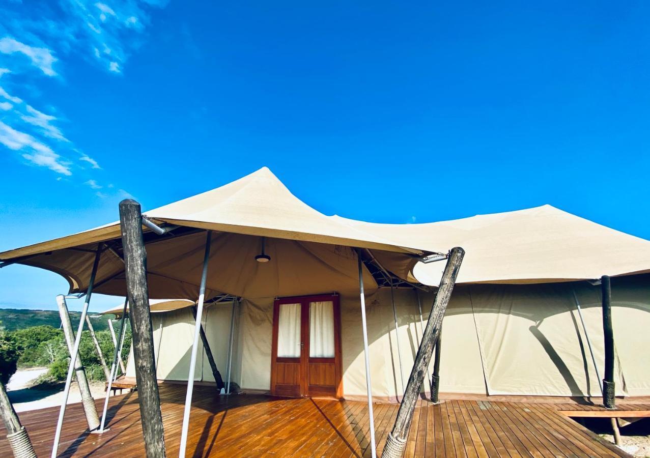 Parkview Safari Lodge Colchester Dış mekan fotoğraf