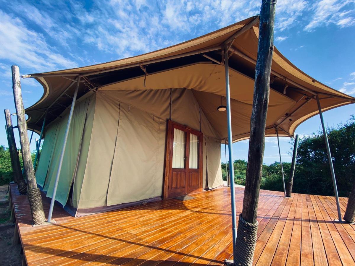 Parkview Safari Lodge Colchester Dış mekan fotoğraf