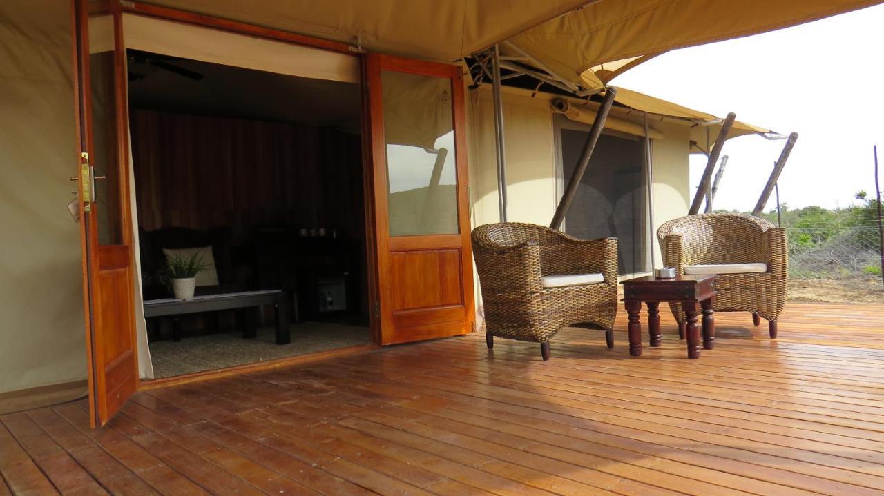 Parkview Safari Lodge Colchester Dış mekan fotoğraf